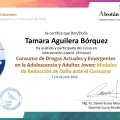 Acercar imagen: certificate 14