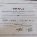Acercar imagen: certificate 2