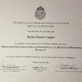 Acercar imagen: certificate 4