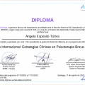 Acercar imagen: certificate 5