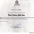 Acercar imagen: certificate 5