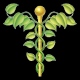 Centro Vida Natural - Concepción