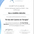 Acercar imagen: certificate 33