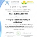 Acercar imagen: certificate 35