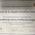 Acercar imagen: certificate 11