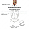 Acercar imagen: certificate 2