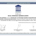 Acercar imagen: certificate 2
