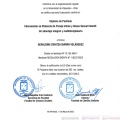 Acercar imagen: certificate 2