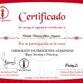 Acercar imagen: certificate 1