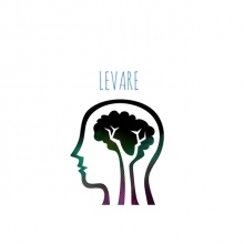 Levare