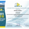 Acercar imagen: certificate 14