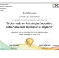 Acercar imagen: certificate 9