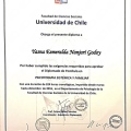 Acercar imagen: certificate 12