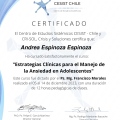 Acercar imagen: certificate 8