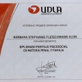 Acercar imagen: certificate 2