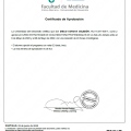 Acercar imagen: certificate 13