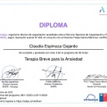 Acercar imagen: certificate 6