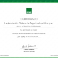 Acercar imagen: certificate 32