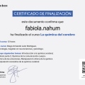 Acercar imagen: certificate 2