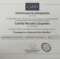 Acercar imagen: certificate 7