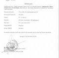 Acercar imagen: certificate 4