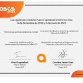 Acercar imagen: certificate 9