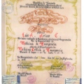 Acercar imagen: certificate 9