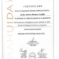 Acercar imagen: certificate 5