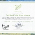 Acercar imagen: certificate 1