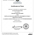 Acercar imagen: certificate 3