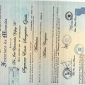 Acercar imagen: certificate 8
