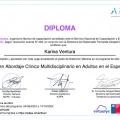 Acercar imagen: certificate 11