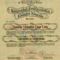Acercar imagen: certificate 1