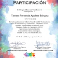 Acercar imagen: certificate 13