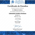 Acercar imagen: certificate 11
