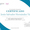 Acercar imagen: certificate 1