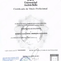 Acercar imagen: certificate 6