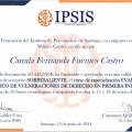 Acercar imagen: certificate 14