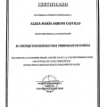 Acercar imagen: certificate 3