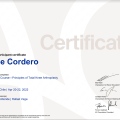 Acercar imagen: certificate 7