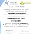 Acercar imagen: certificate 9