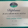 Acercar imagen: certificate 19