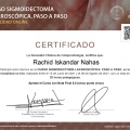 Acercar imagen: certificate 9