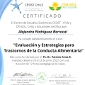 Acercar imagen: certificate 10