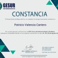 Acercar imagen: certificate 6