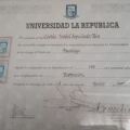 Acercar imagen: certificate 3