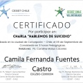 Acercar imagen: certificate 12