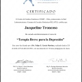 Acercar imagen: certificate 29