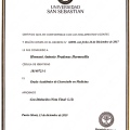 Acercar imagen: certificate 9