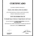 Acercar imagen: certificate 7